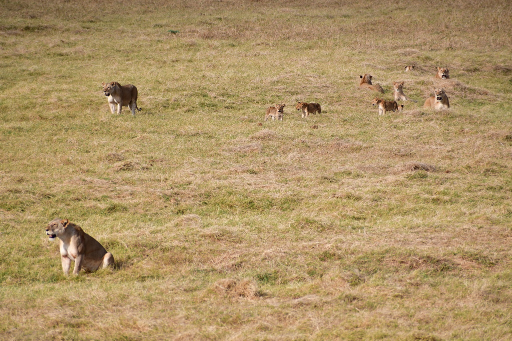 Tsavo East National Park